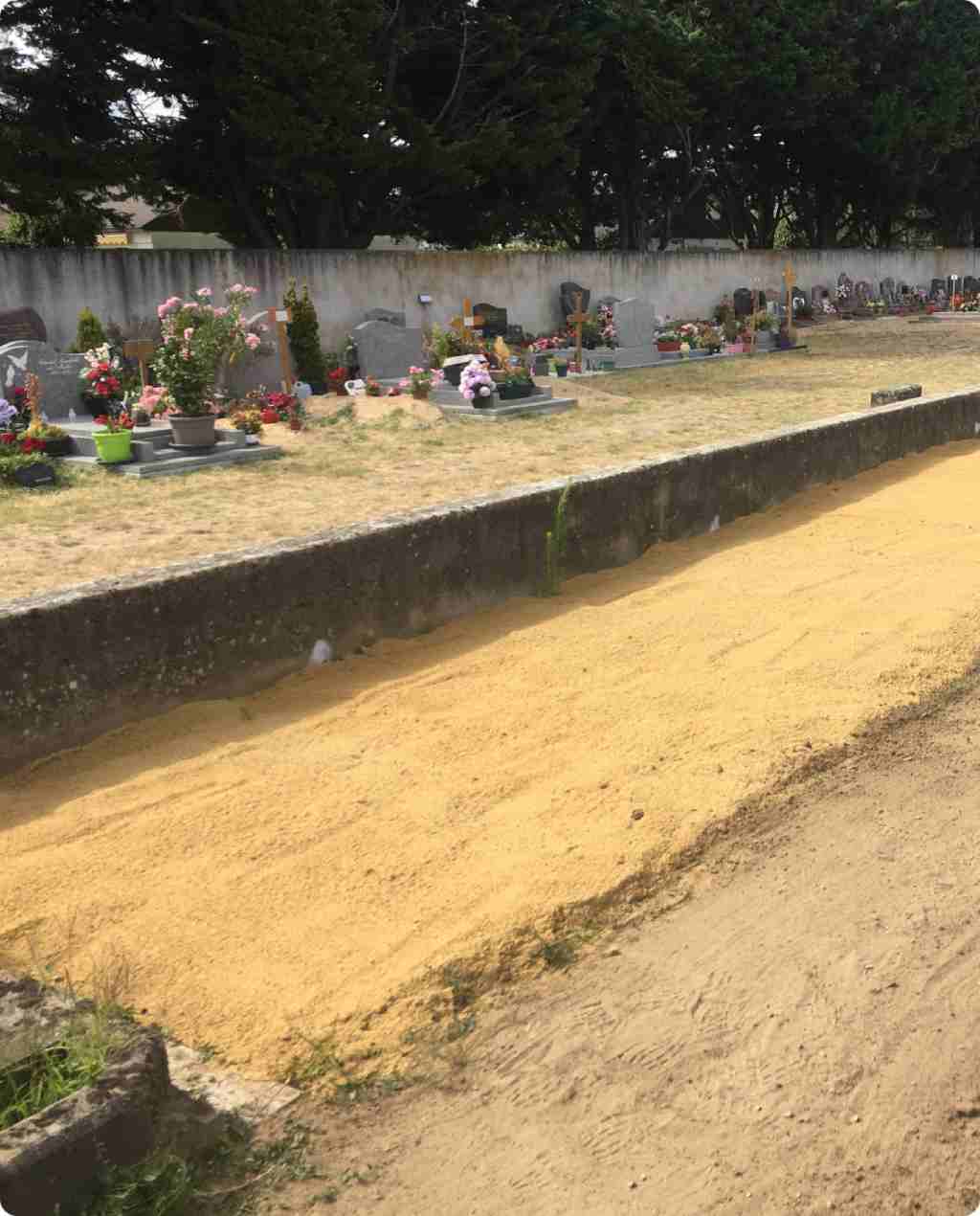 PF Assistance - reprise de concessions